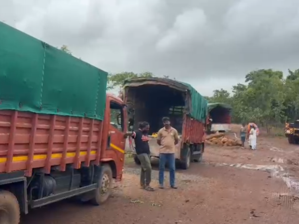 Cattle shifted from Damodar Devasthan land site following Dy Collector's order