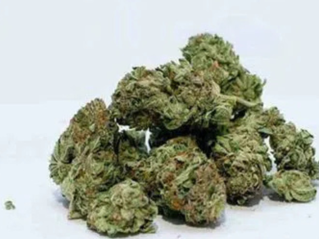 Five arrested as Karwar Police crack down on cross-border ganja trade