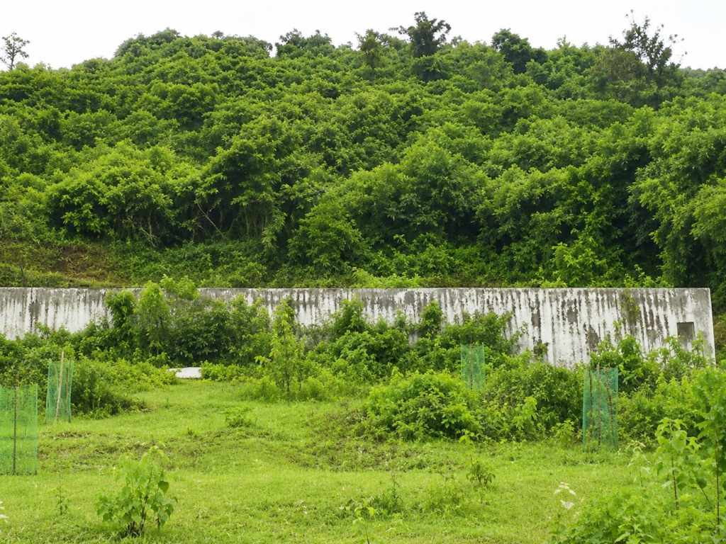 Planning hurdle clouds Sonsodo kabrastan project