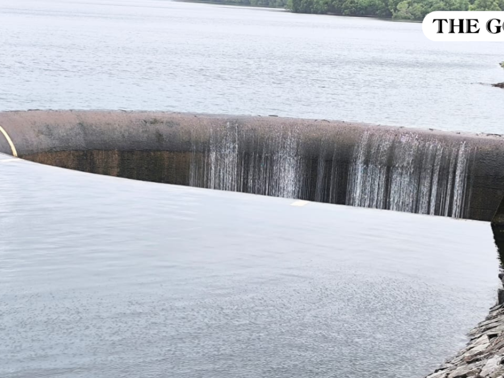 Selaulim overflows weeks behind schedule after erratic monsoon