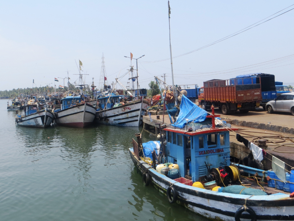 Health checks begin for migrant crew at Cutbona