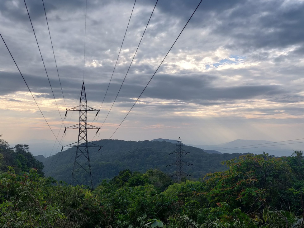 Central wildlife committee clears path for Goa-...