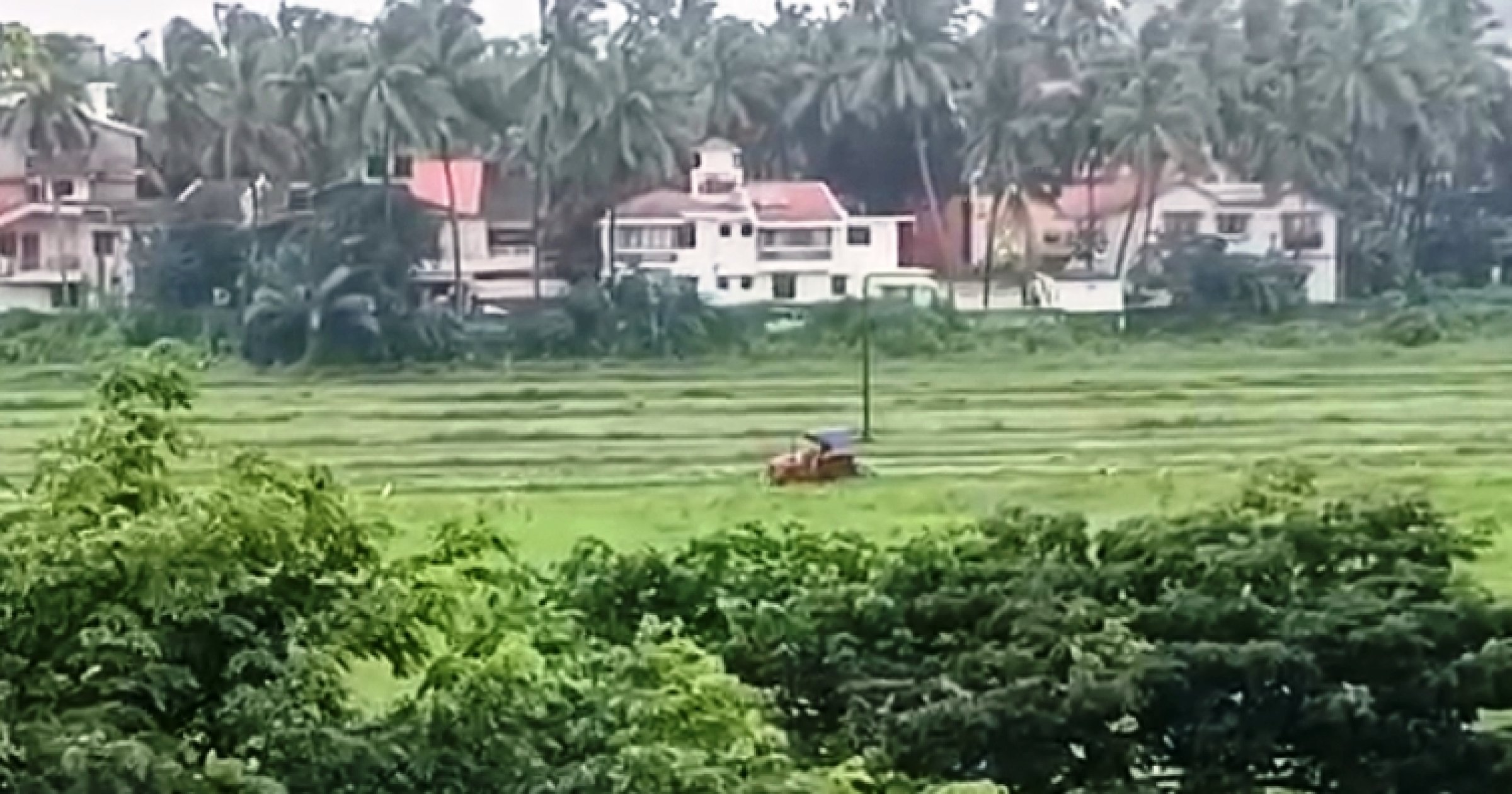Farmers to extend cultivation of Salpem fields to 3 lakh sqm