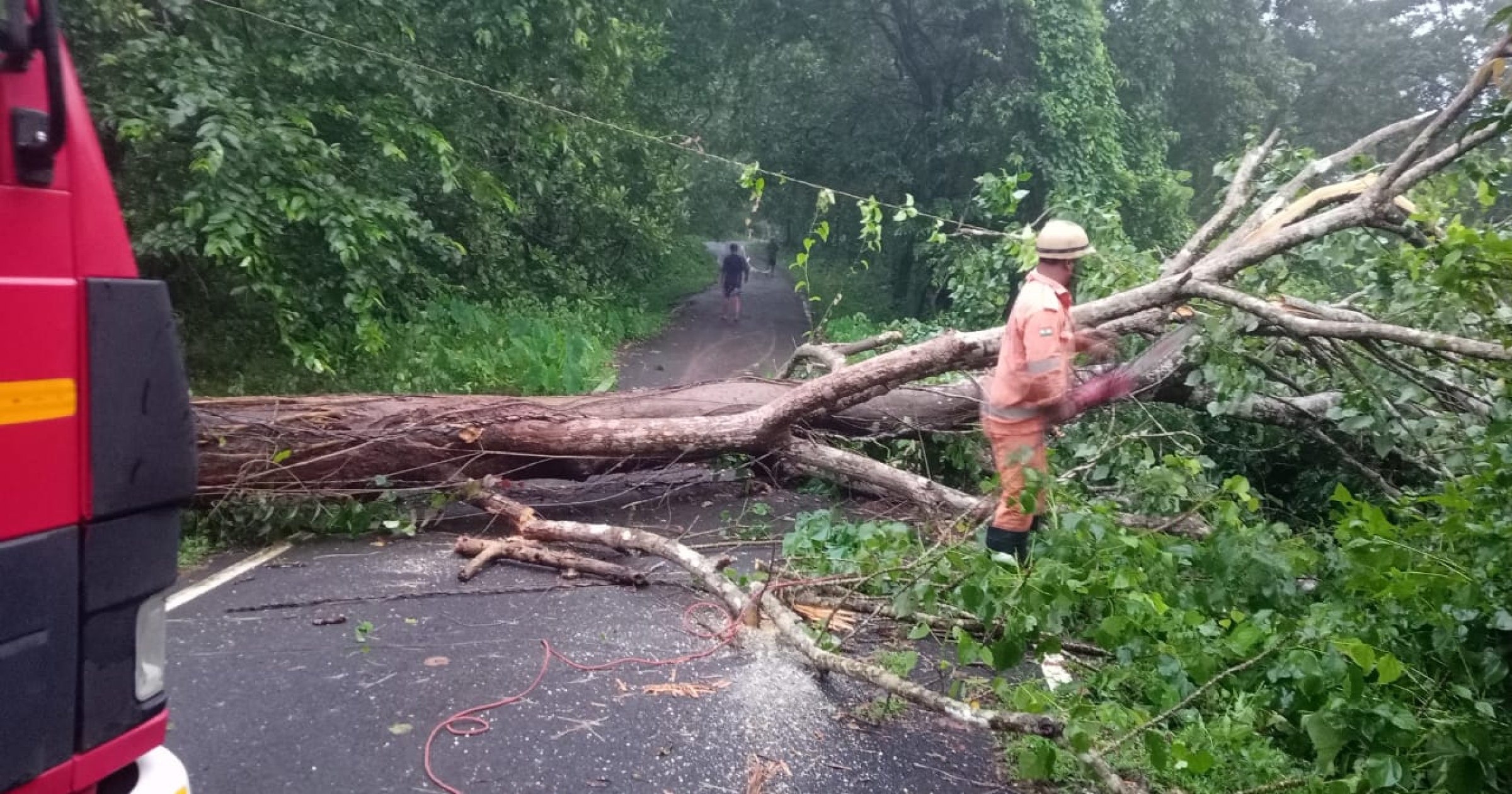 Strong winds, heavy rain uproot trees across Sattari