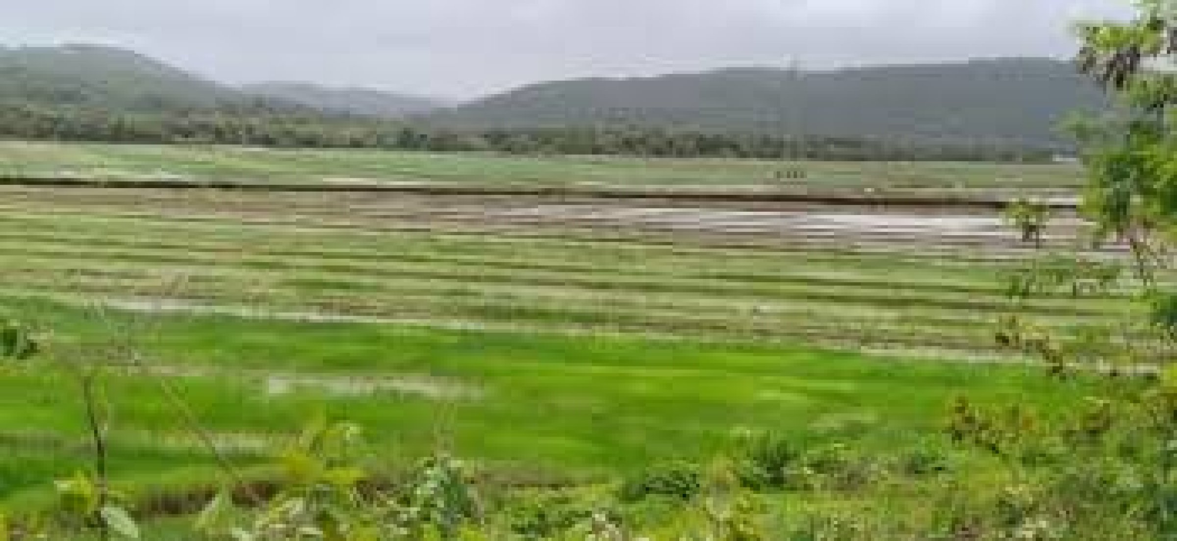 Village objections fail to halt Loutolim project