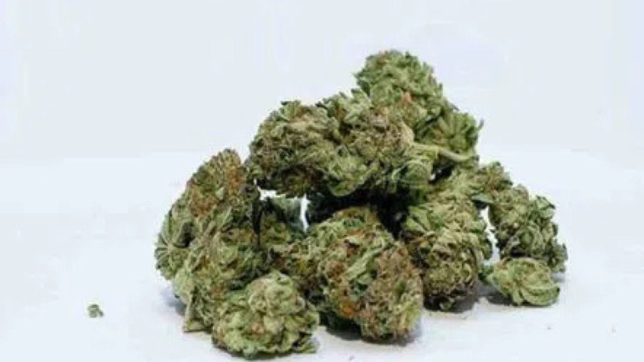 Colva police arrest man with 3.65 kg ganja at Cavelossim