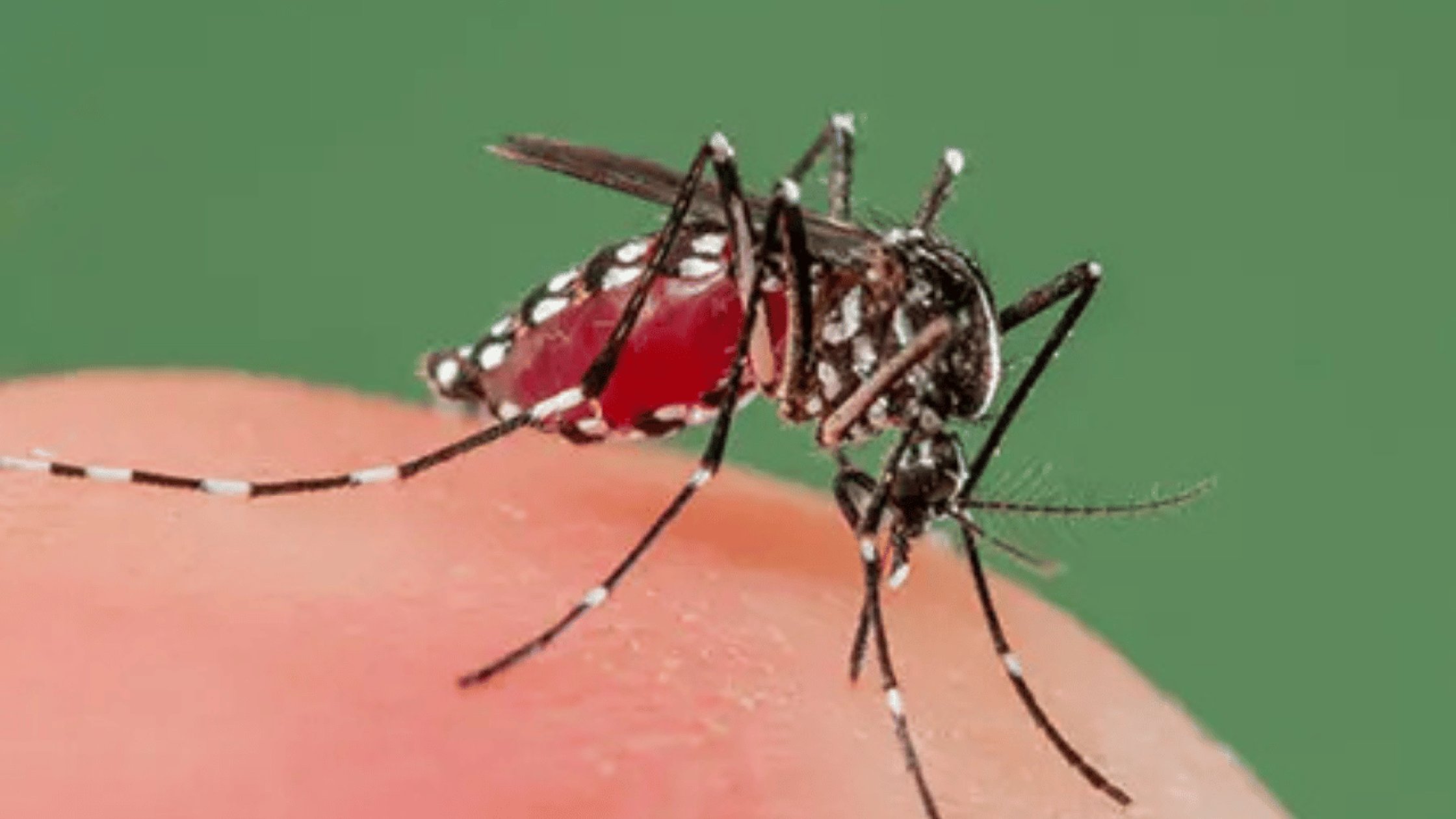 Dengue cases highlight need to rebuild Margao police complex