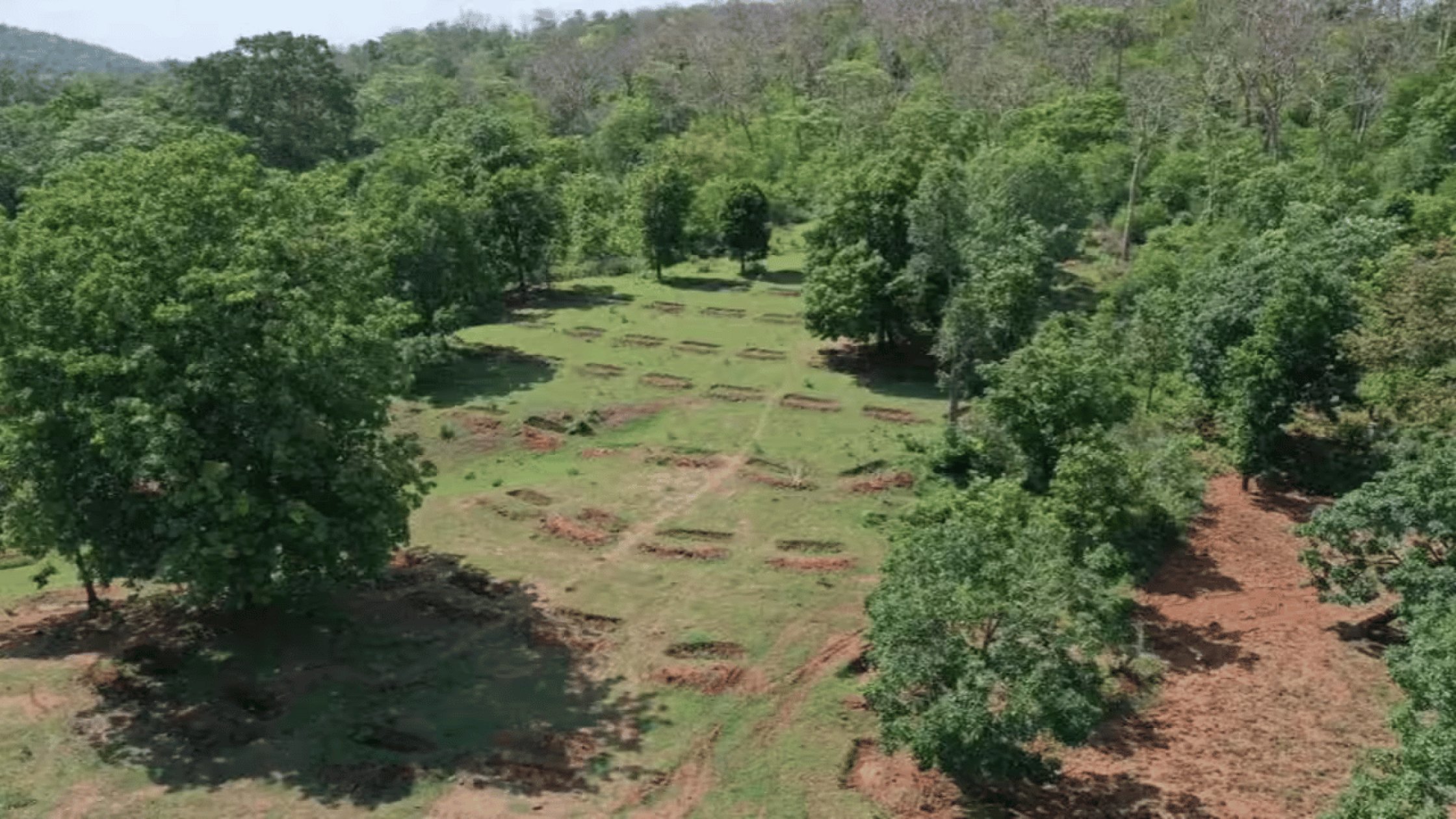 Central committee directs Goa to remove forest land encroachment