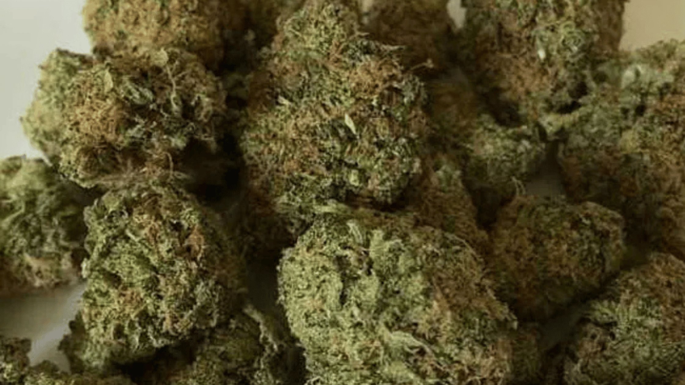 Youth held with ganja worth over Rs 1 lakh in Vasco