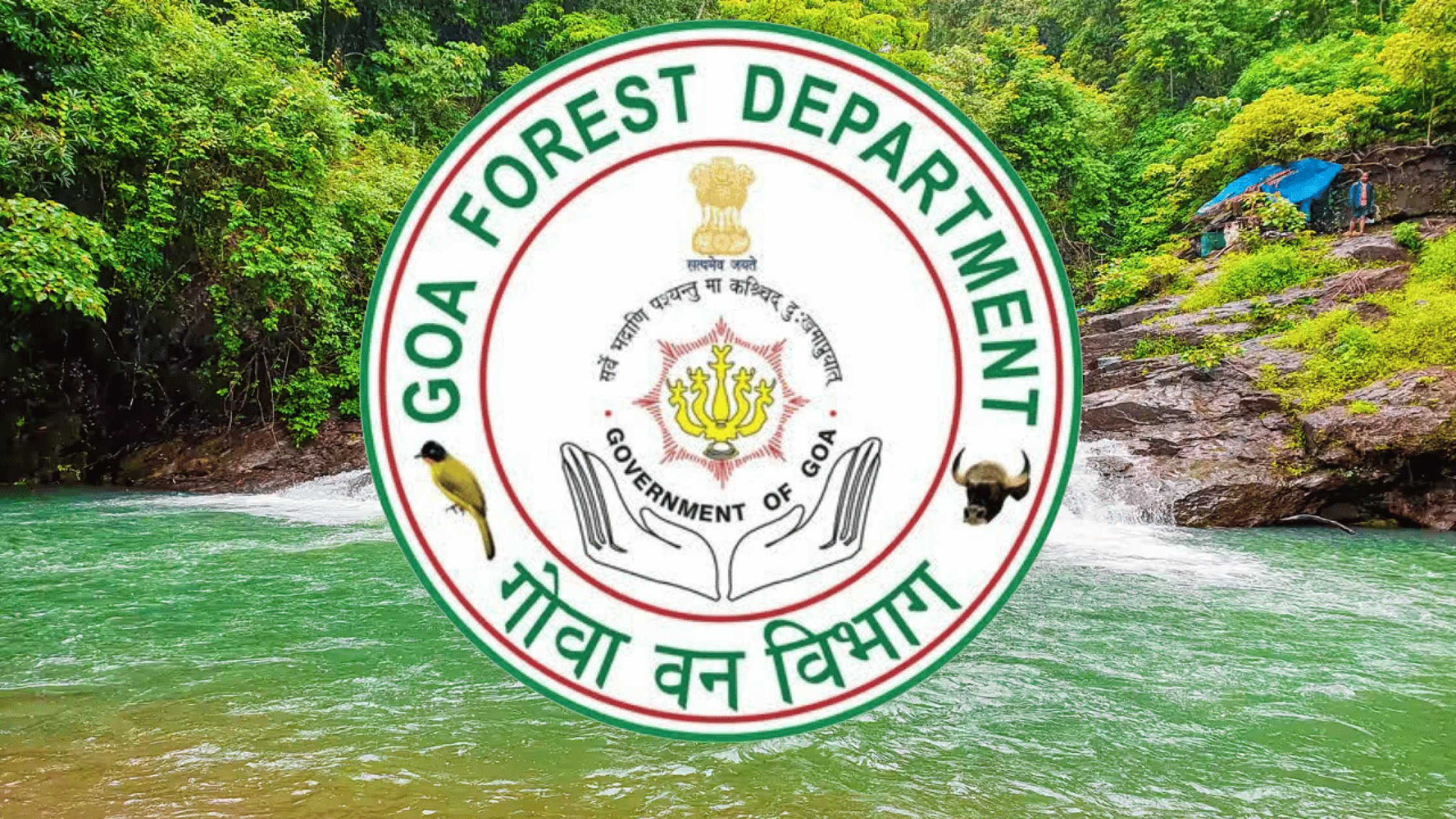 Forest Dept under scrutiny, DM calls for factual report