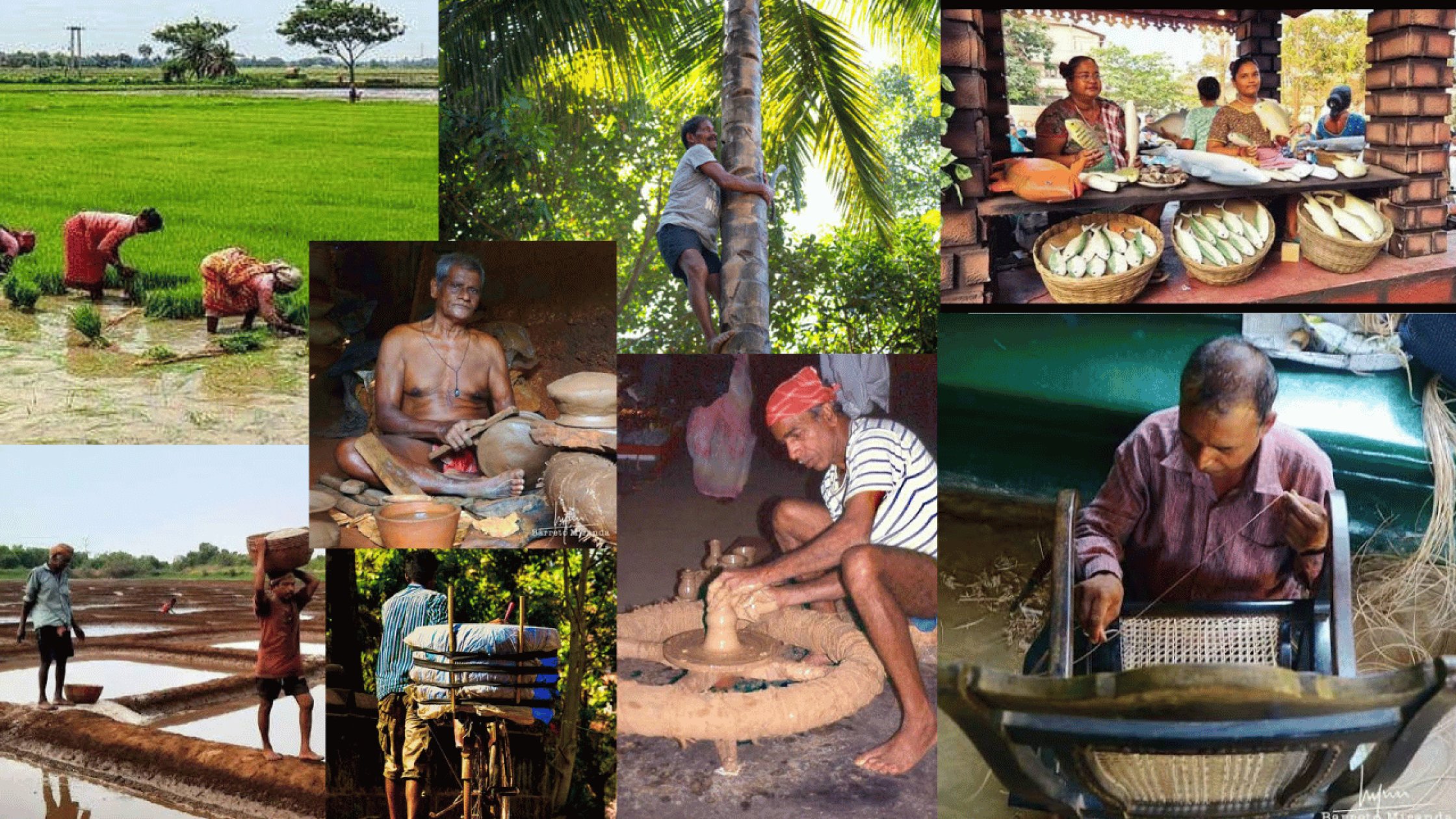 Govt to map traditional occupations, artisans f...