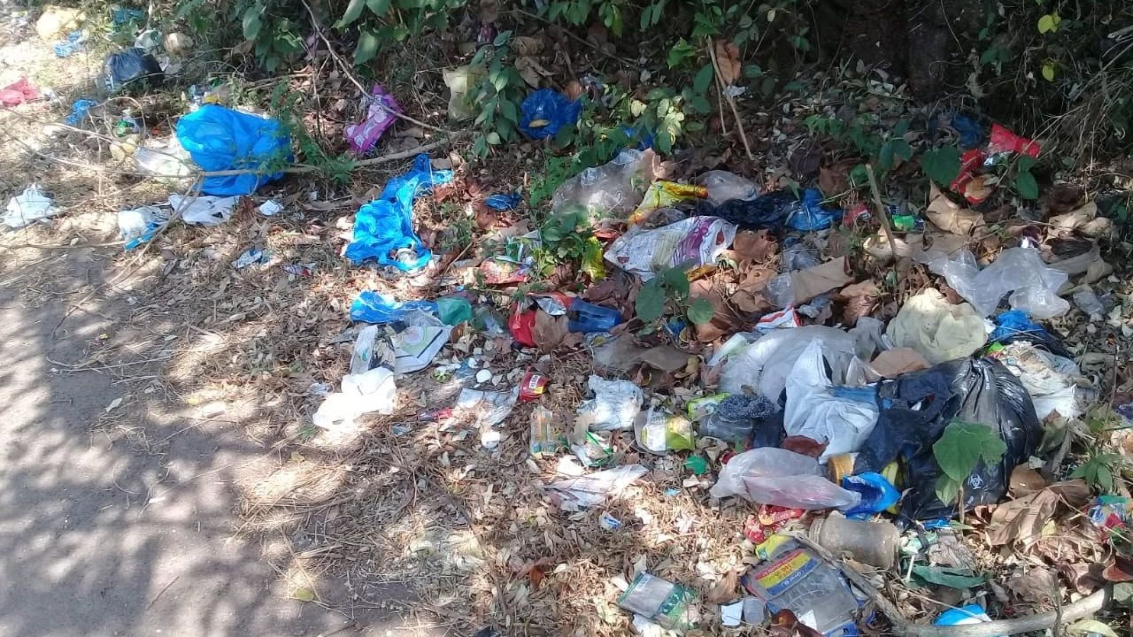 Wet waste collection puts Camurlim panchayat in a fix