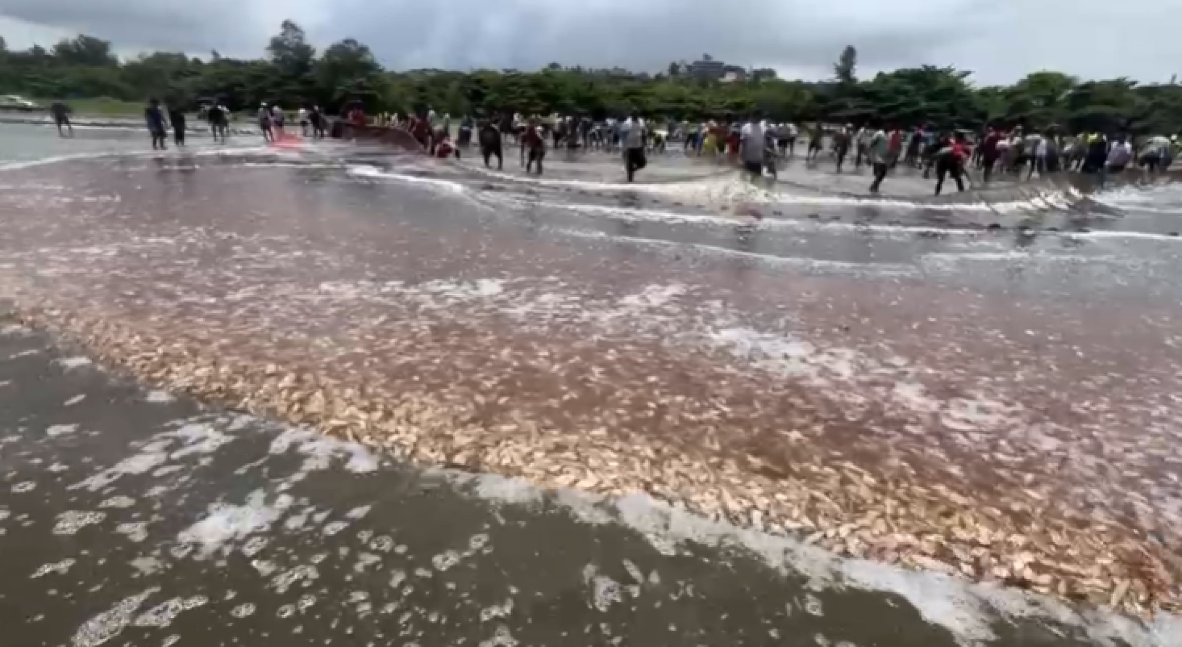 Bumper catch marks first ramponn at Caranzalem