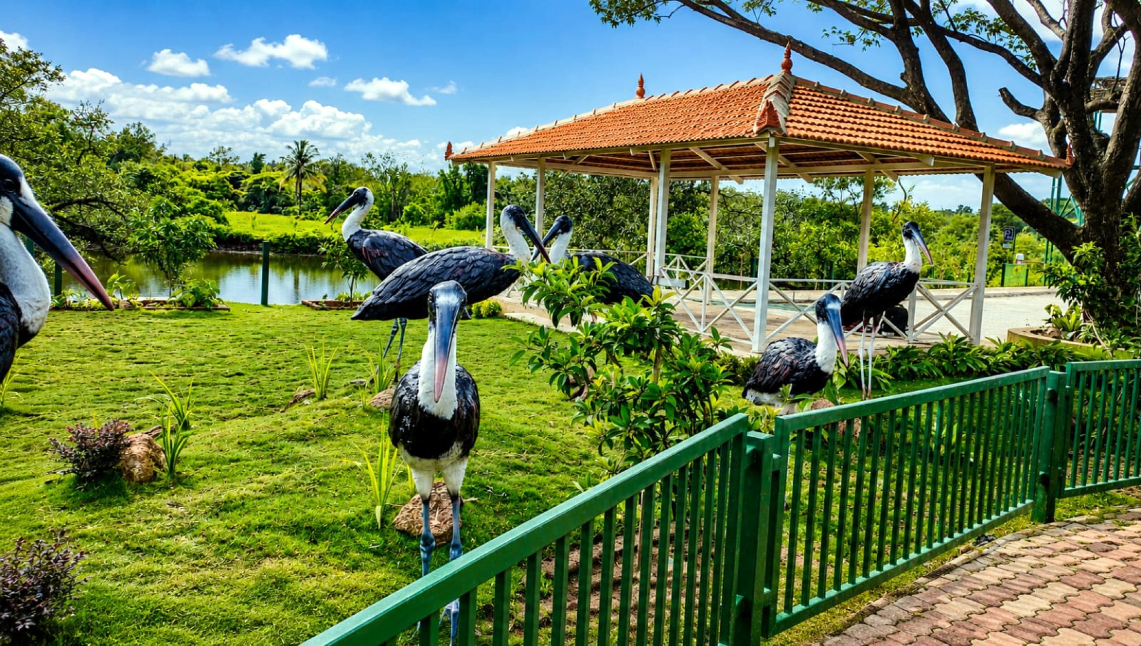 Where evening walk becomes a lesson in nature, Candolim’s mangrove park breaks new ground