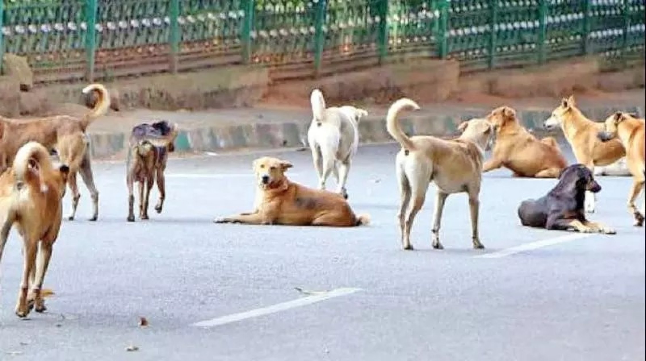 High Court warns of possible bailable warrant against NHAI officer in Goa