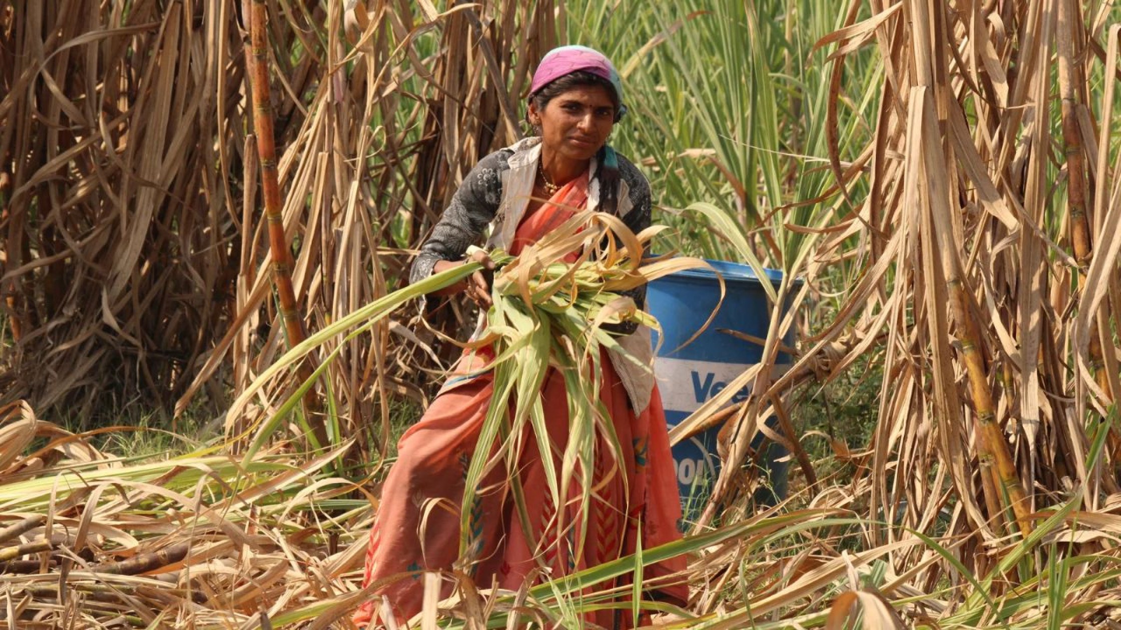 Women most vulnerable to informal jobs: Study