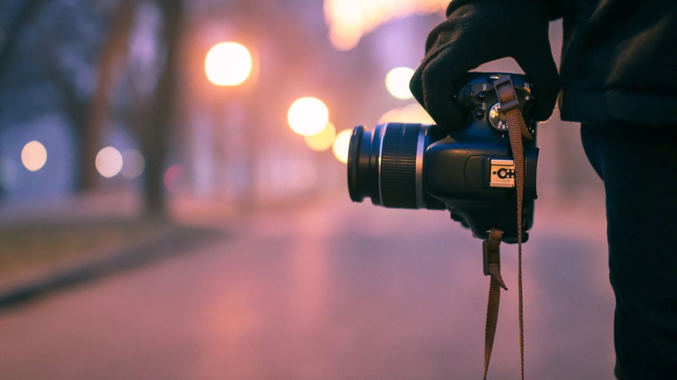 World Photography Day: A beginner’s guide to better photographs