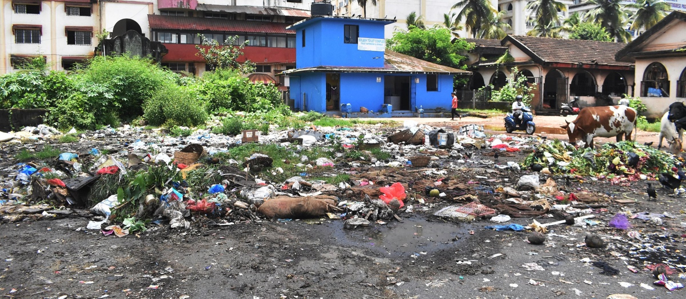 SGPDA market continues to struggle with waste d...