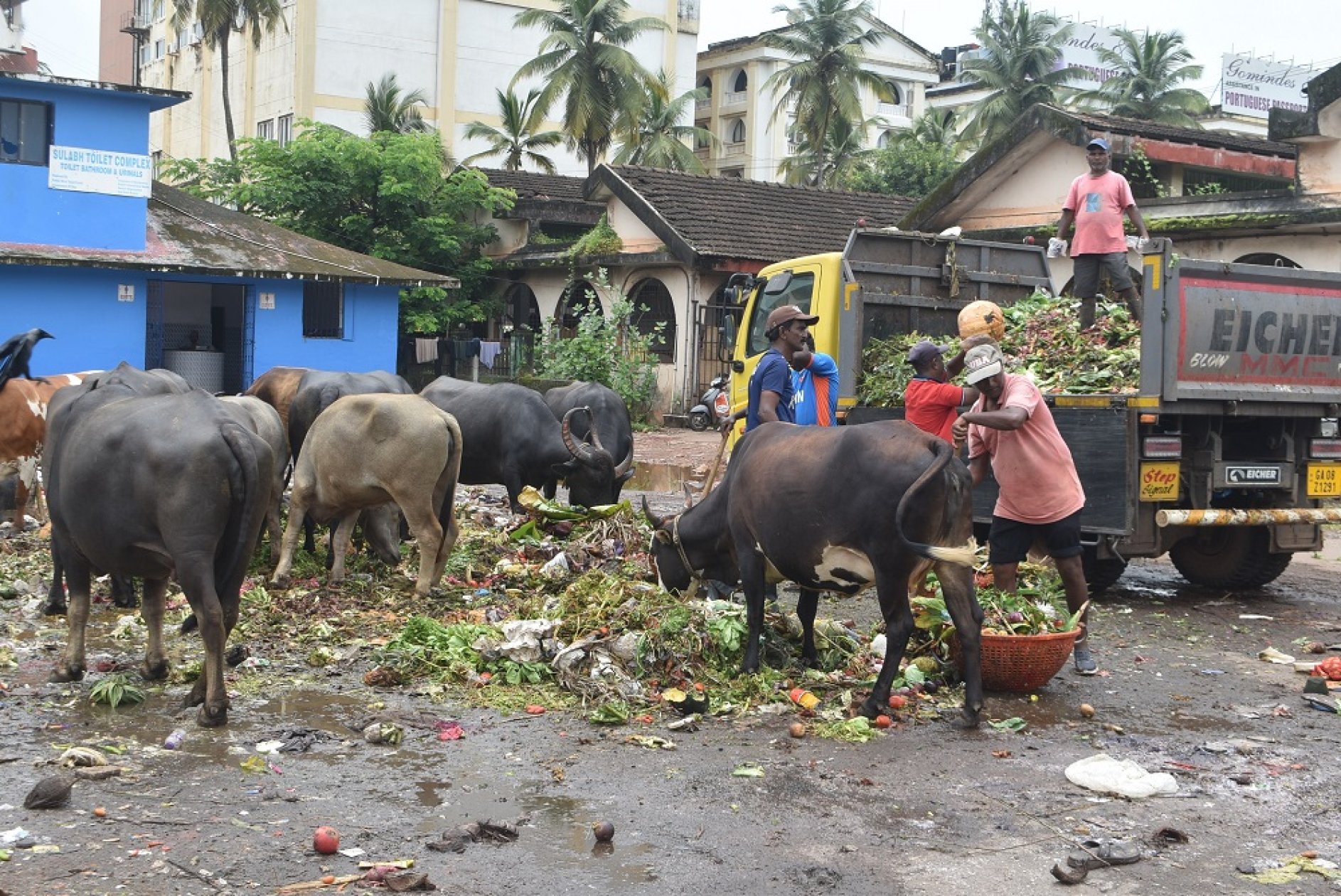Flagged, inspected, unresolved: The SGPDA waste crisis