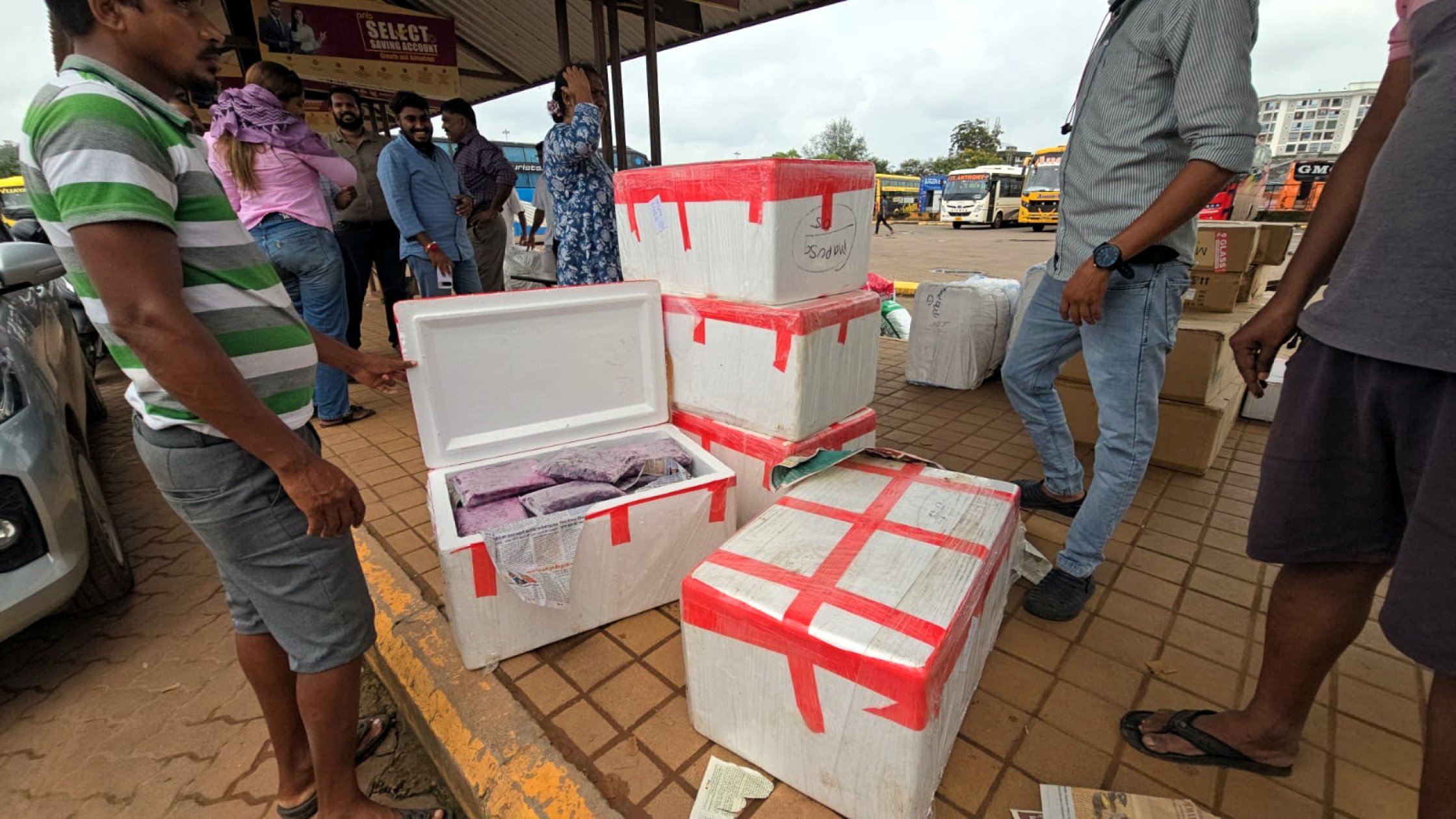 FDA seizes unlabelled frozen jamun at Mapusa bu...