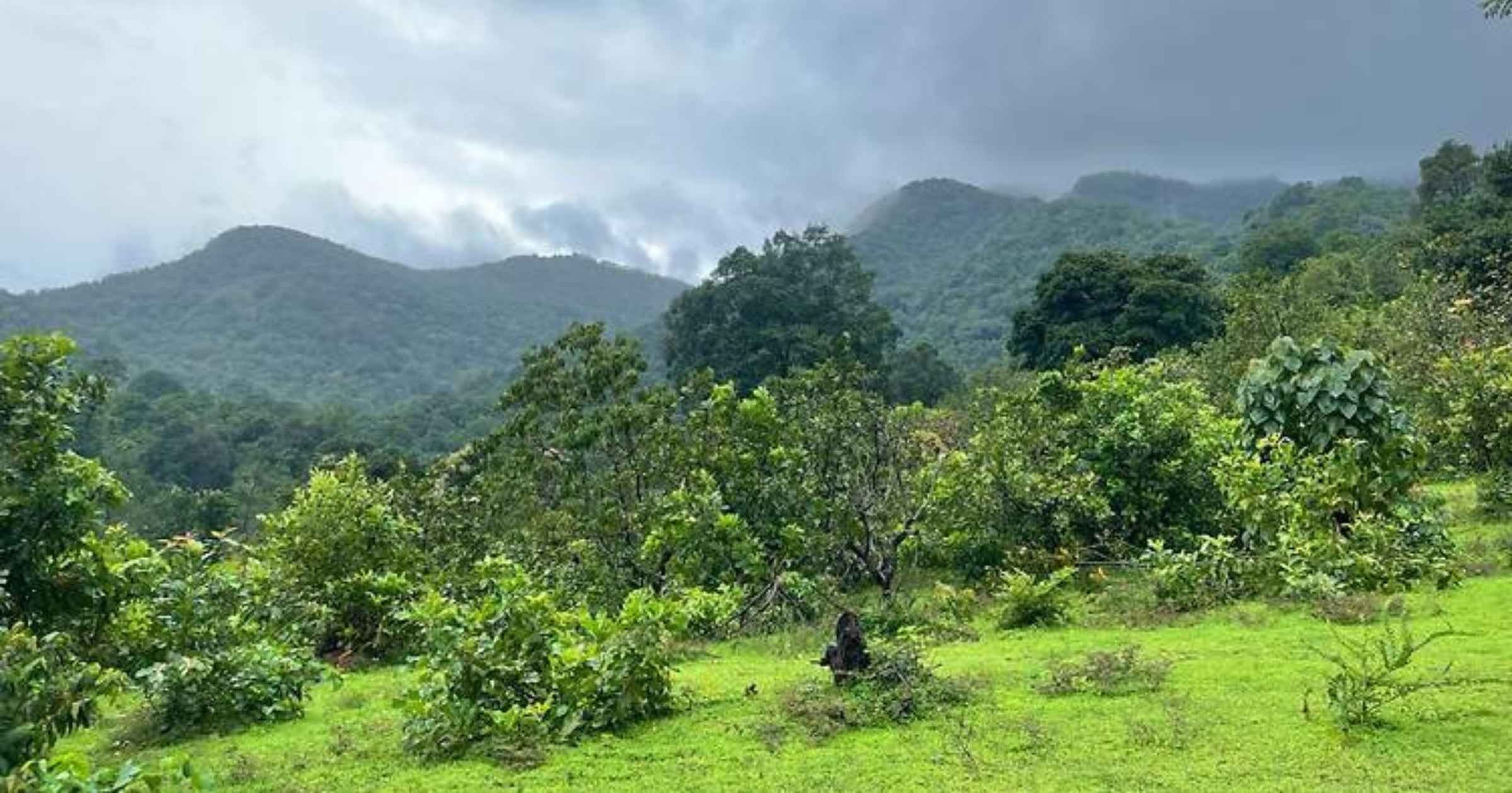 Goa Green Shield to bring additional 178 sq km under conservation cover