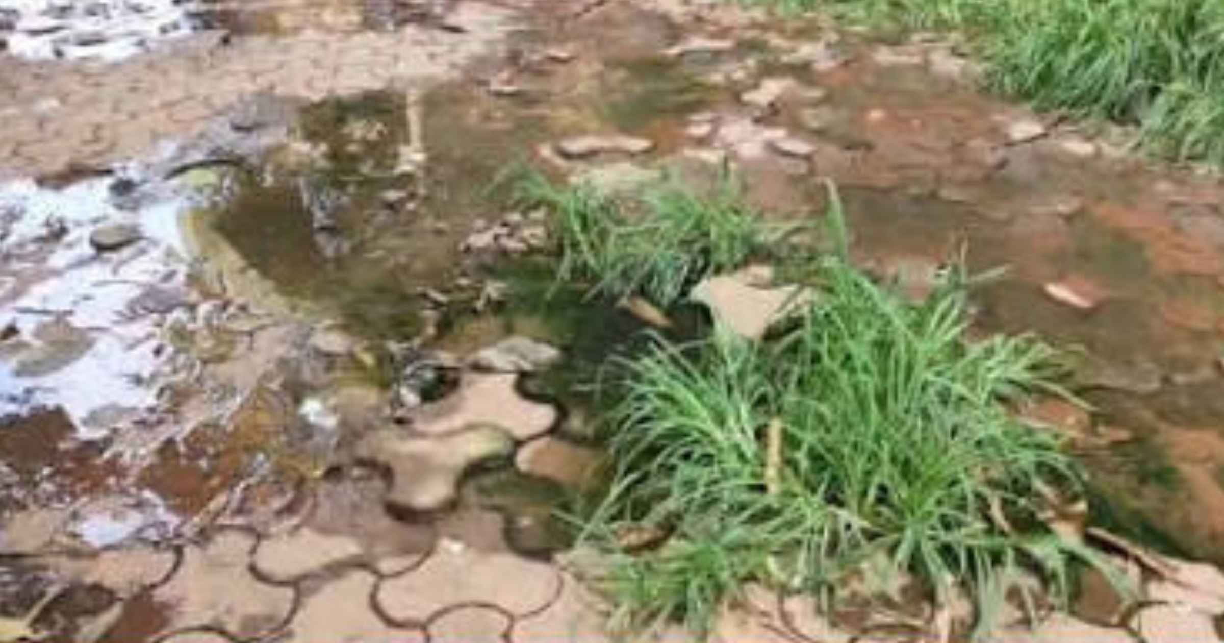 Mapusa sewage mess traced to discharge from private building