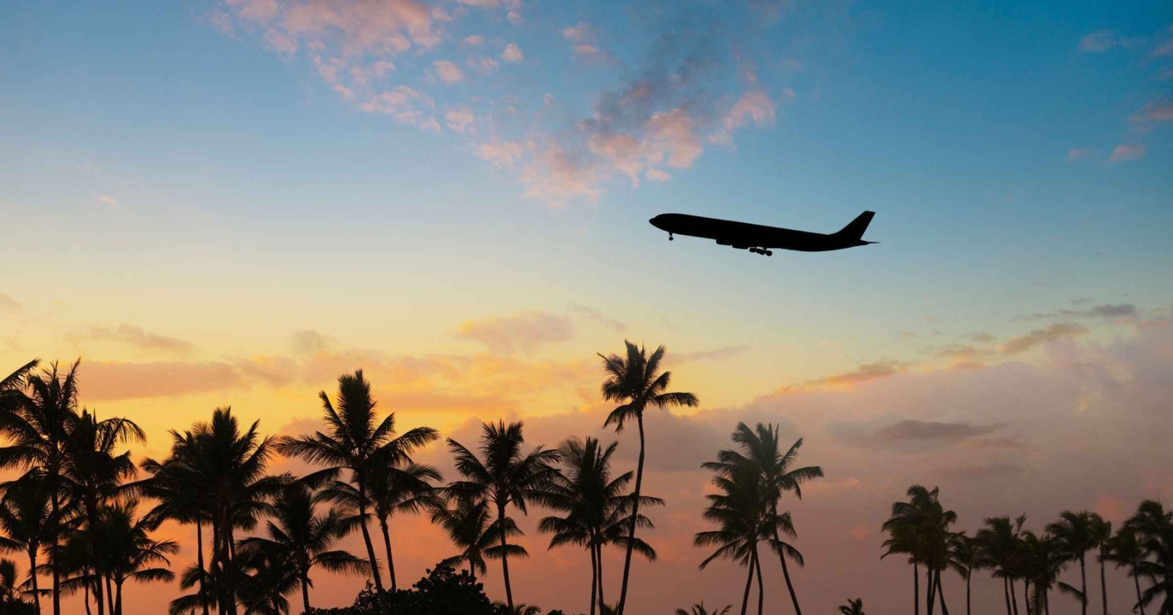 Goa's international air traffic nosedives sharply