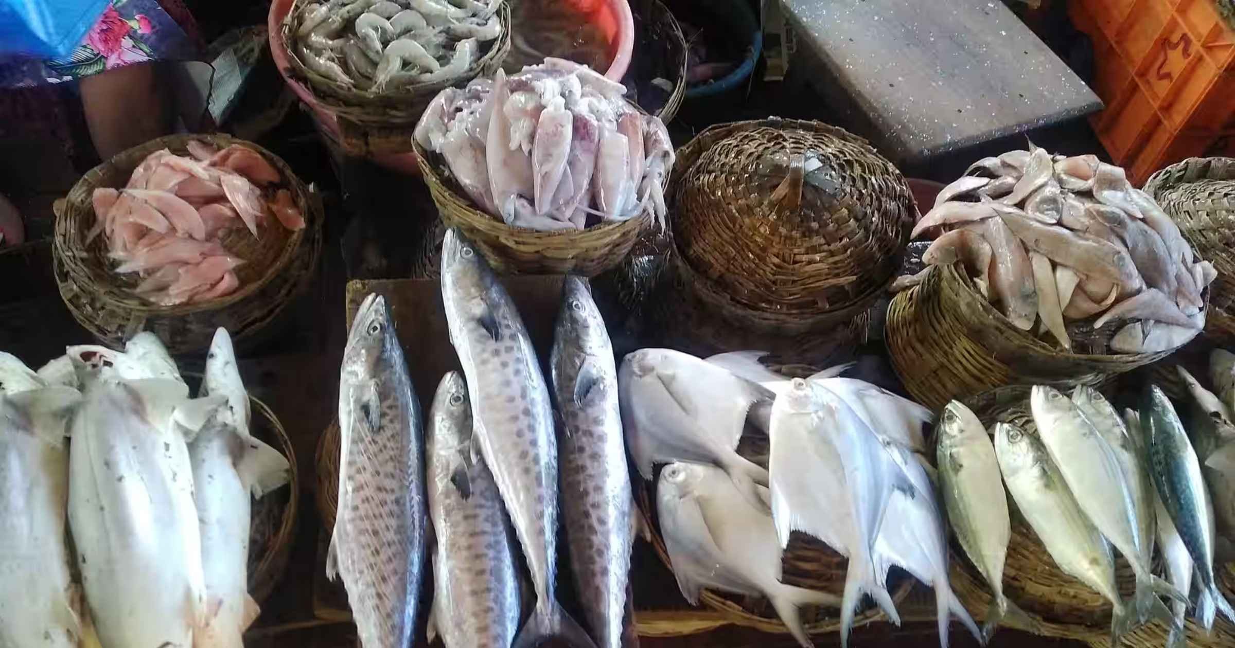 Govt’s affordable fish scheme still off the hook