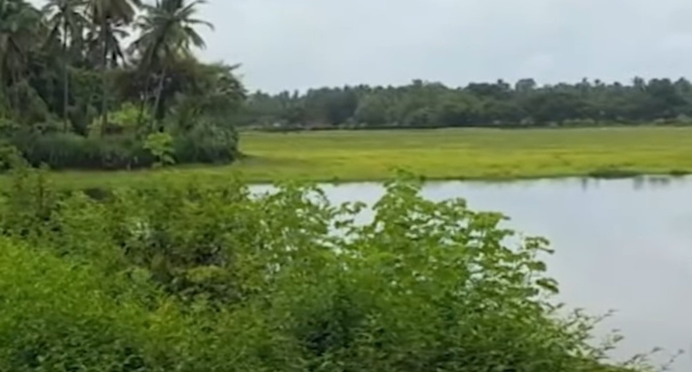 Velim gram sabha objects to Shabu Tollem wetland buffer