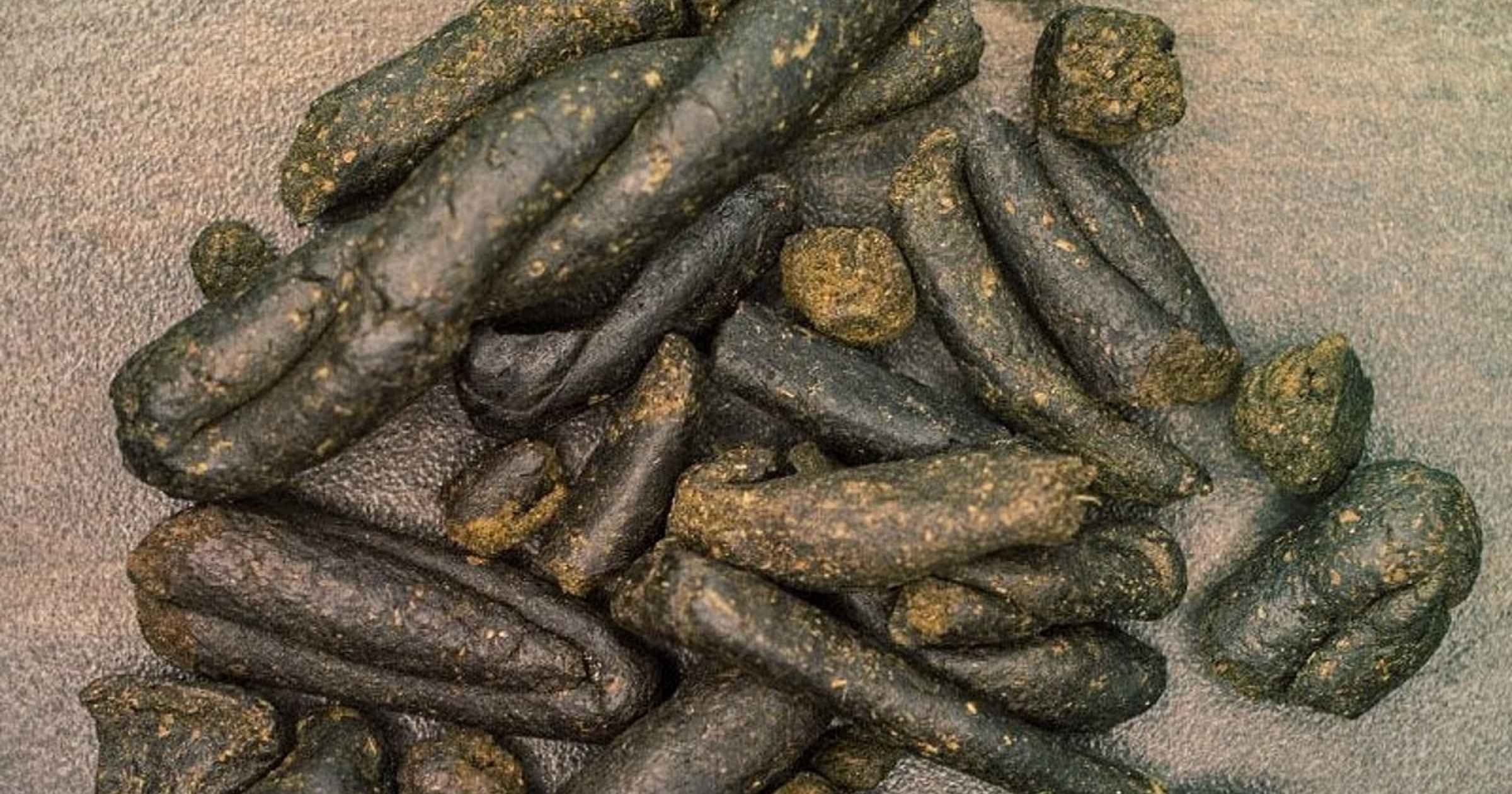 270 g charas worth Rs 1.5 lakh seized at Arlem, 1 arrested