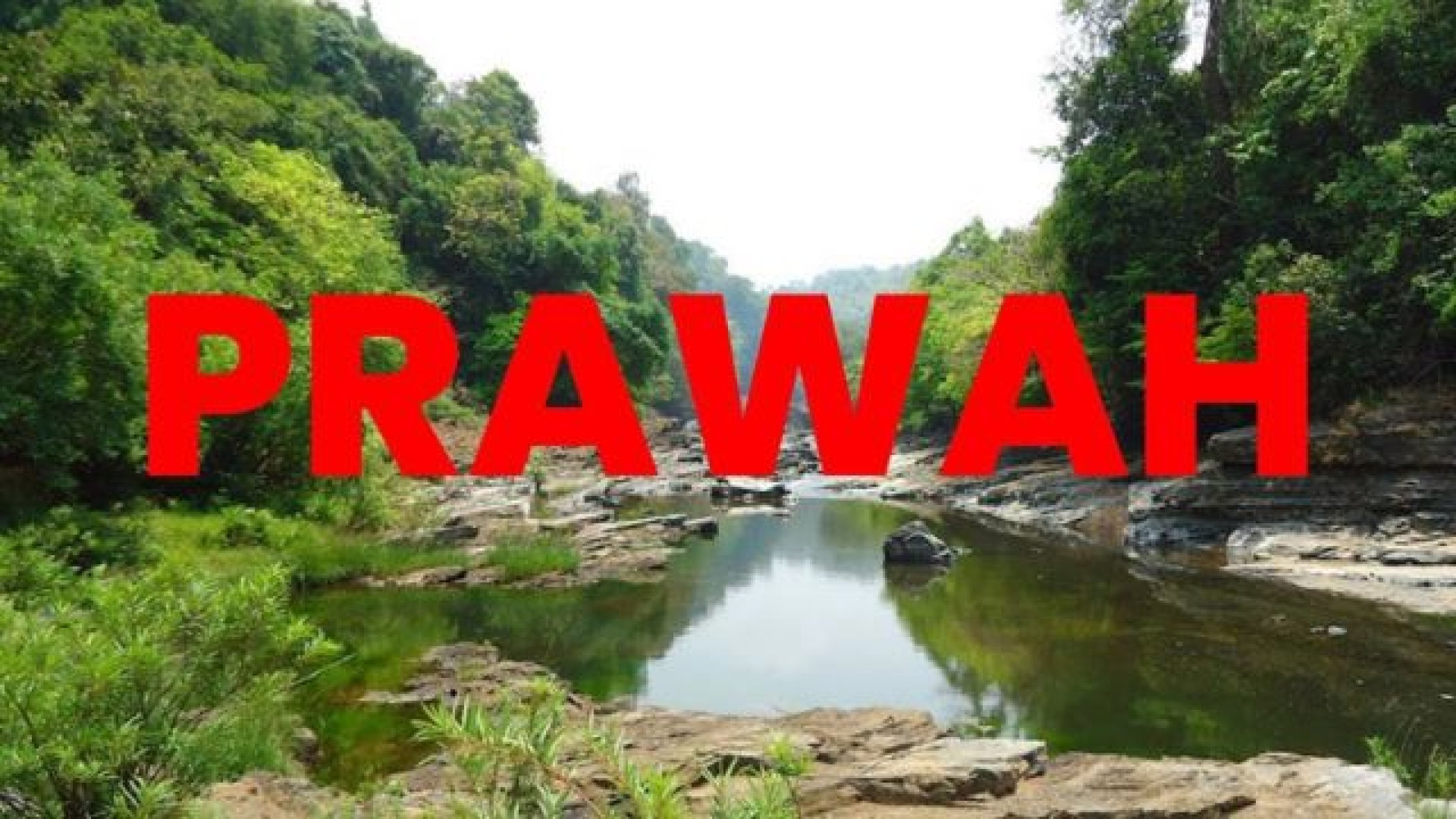 Goa to press PRAWAH for immediate Mhadei inspection, says CM