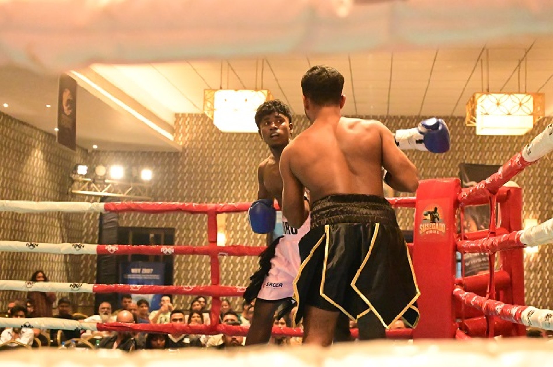 Susegado Strike's Fight Night 6 packs a punch