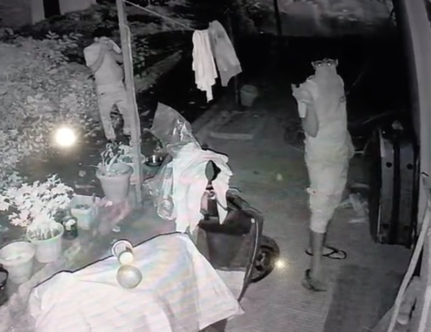 CCTV alert and barking dogs foil midnight burgl...