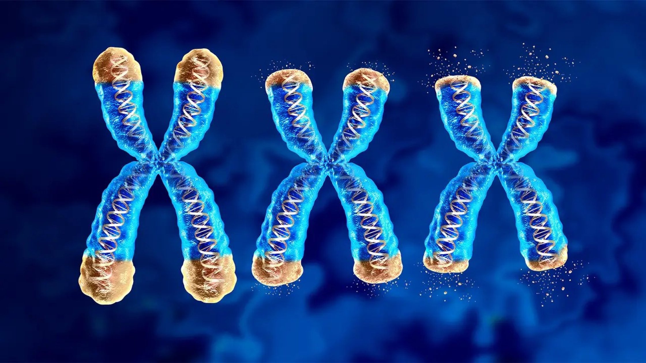 Telomeres, health, disease and ageing