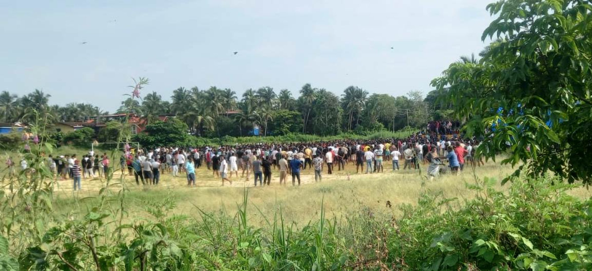 Bullfights continue unabated in Salcete