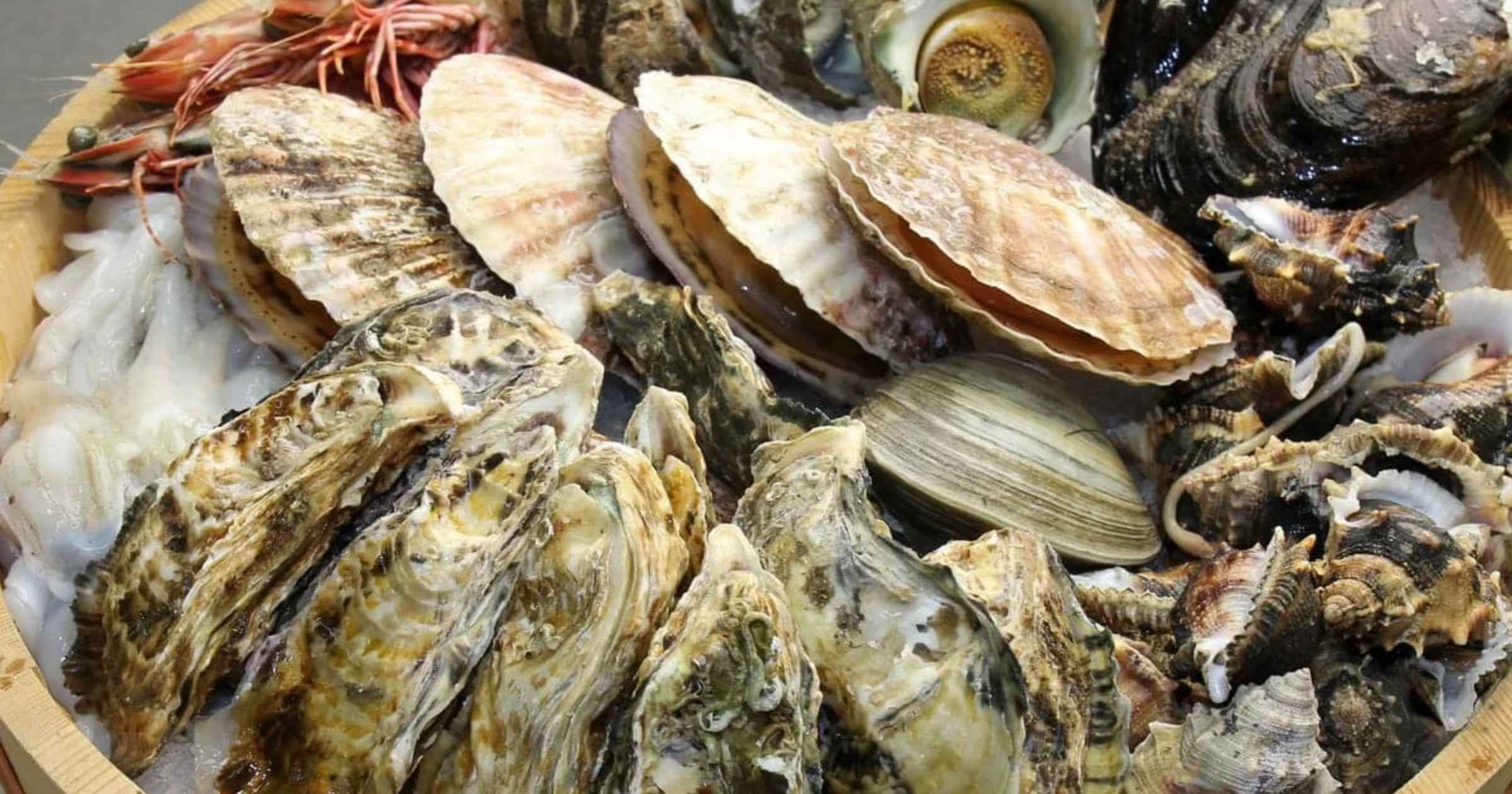 Fish tested, but shellfish safety remains a blind spot
