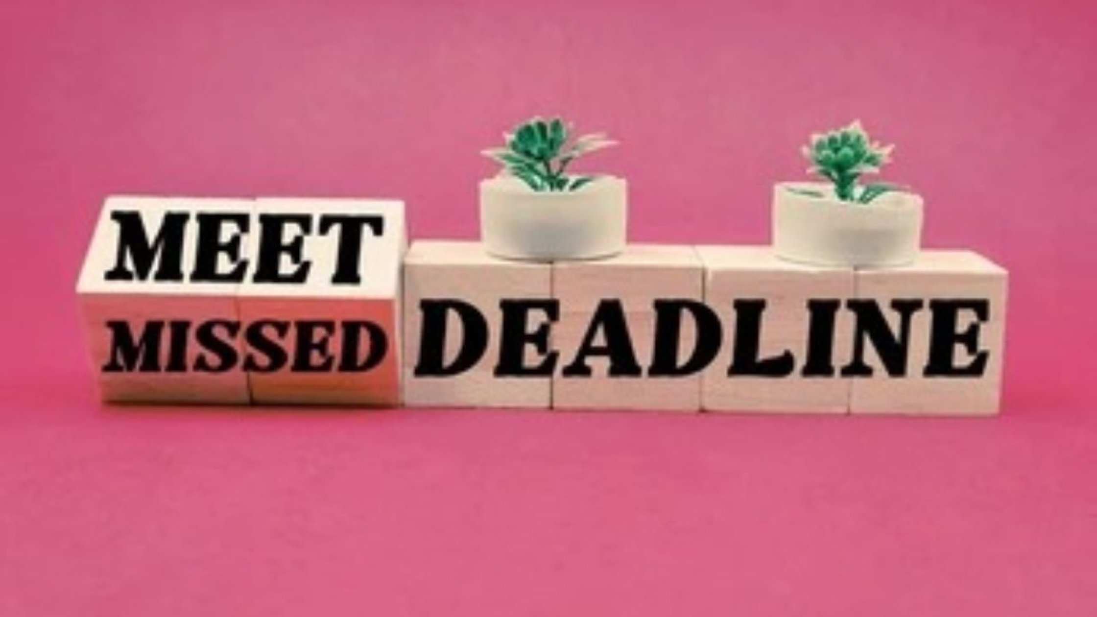 Goa’s CAMPA compliance slips as panels skip mandatory meetings