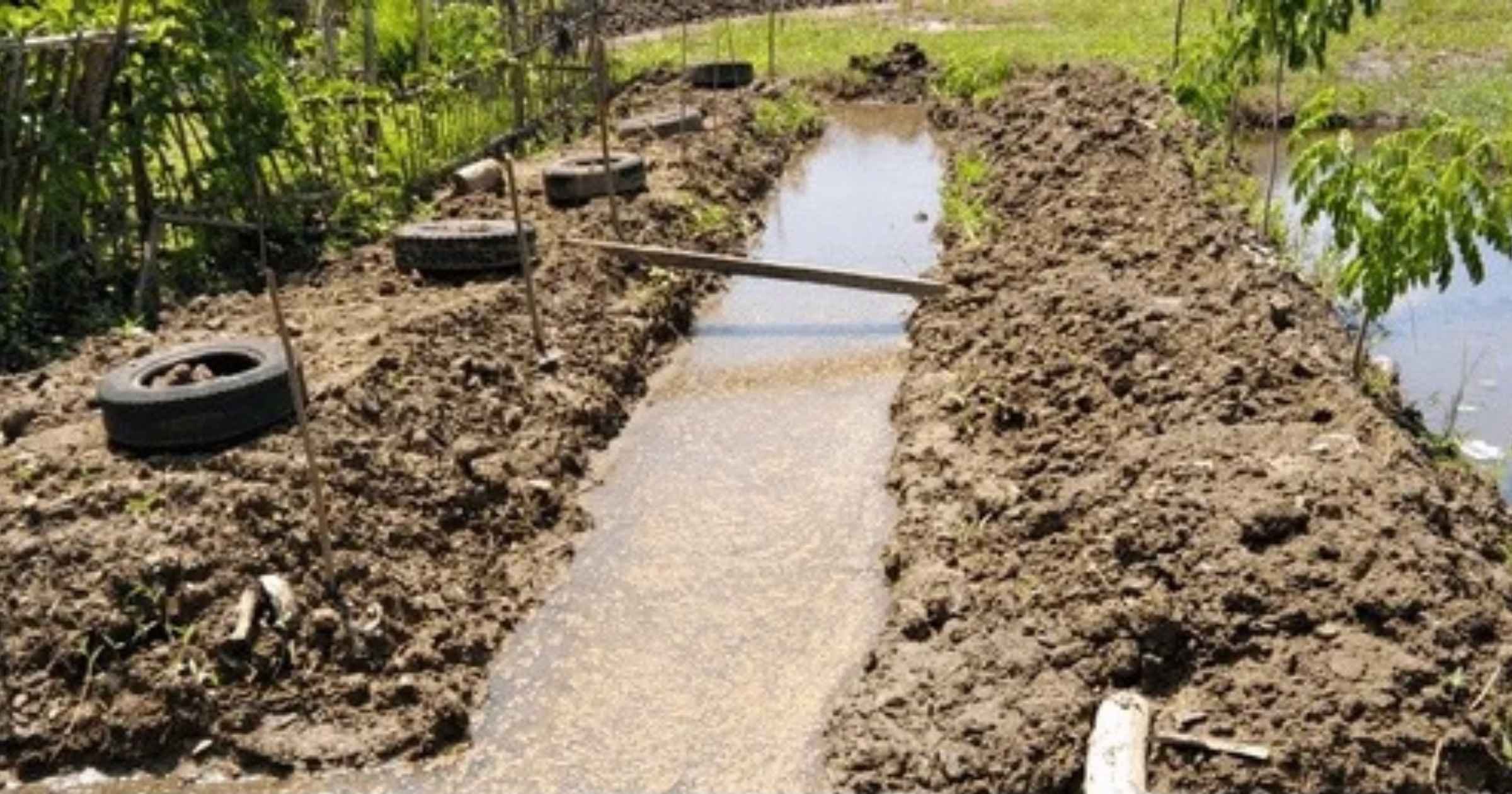 Protective bund repairs to get 100% govt financial support