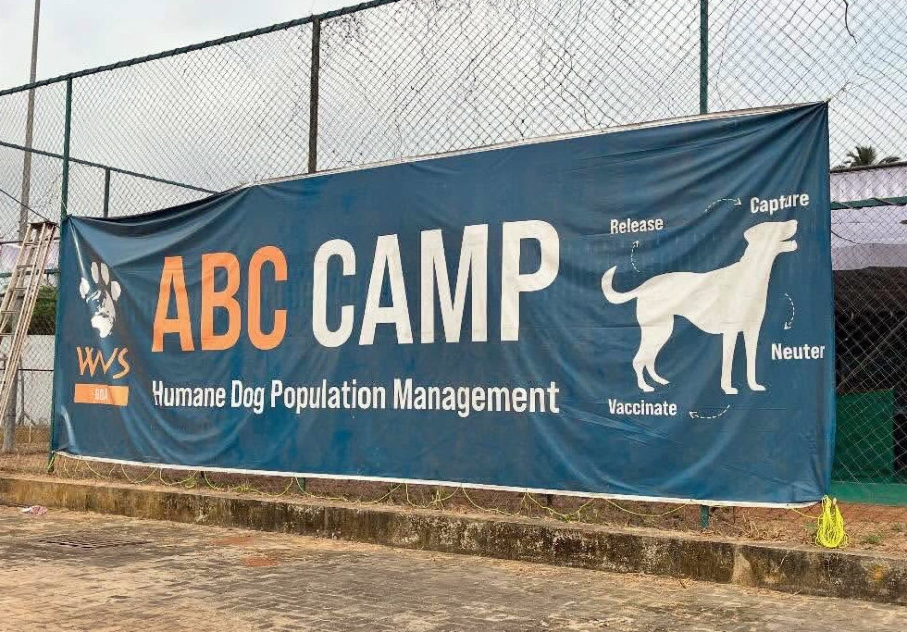 Mega spay, neuter campaign in Velim constituency from Sept 28