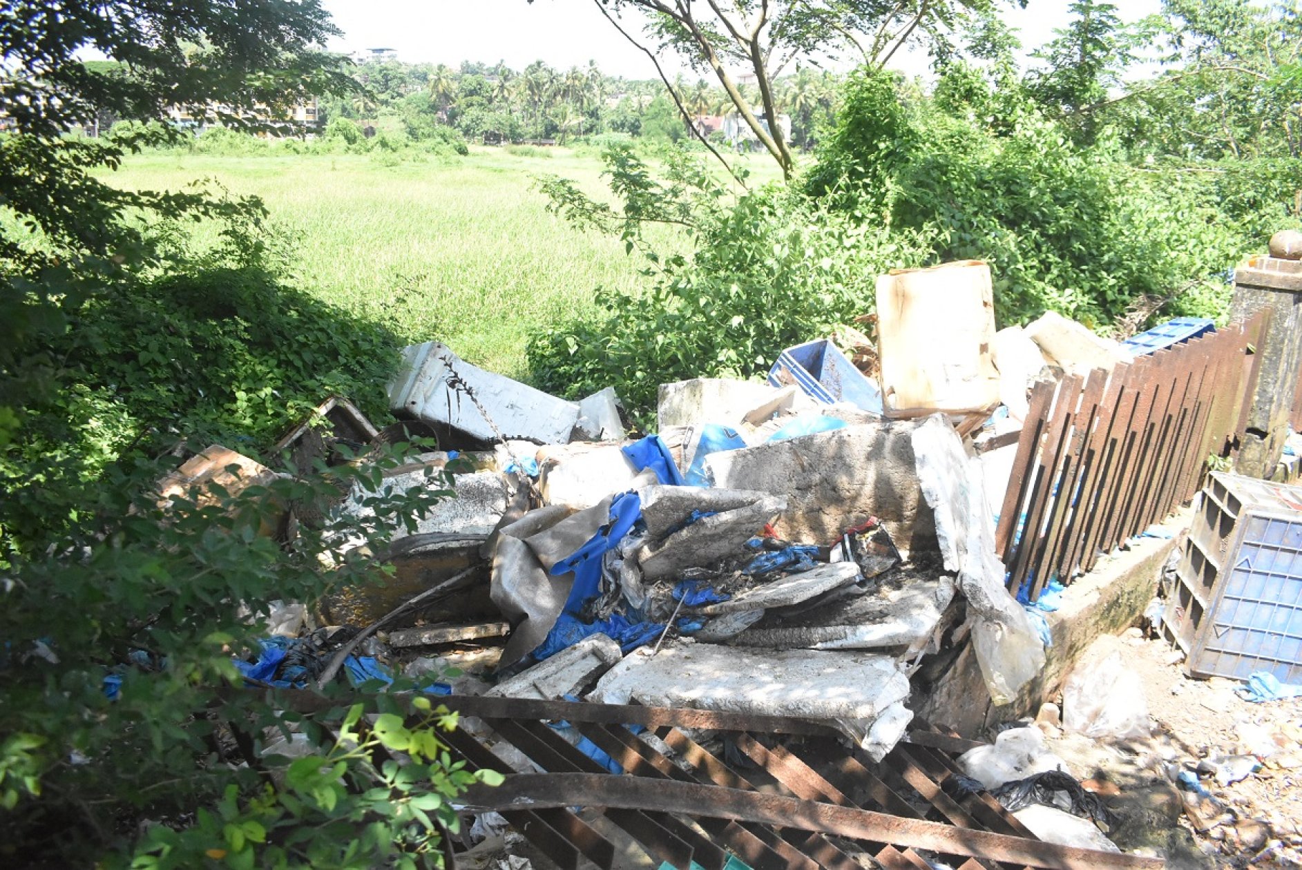 SGPDA market’s waste mess continues
