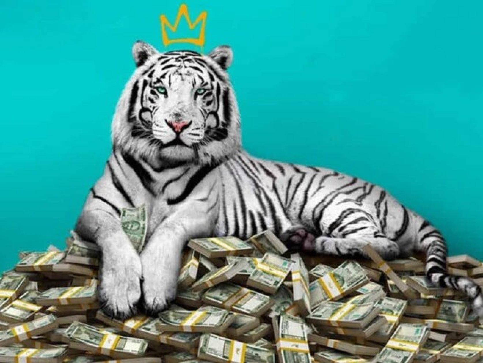 Corruption: An untamed tiger