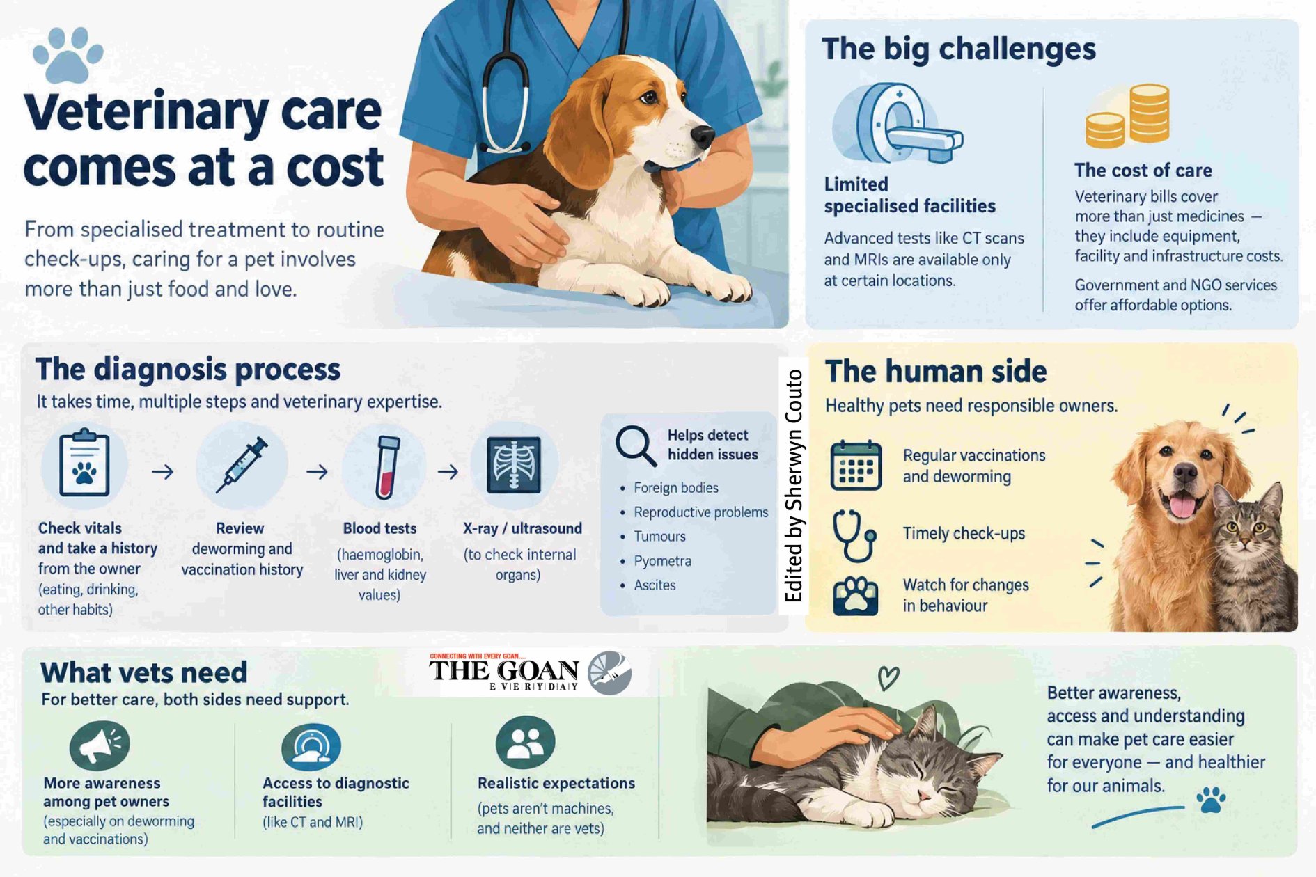 Beyond food, shelter: The costs, challenges of caring for pets