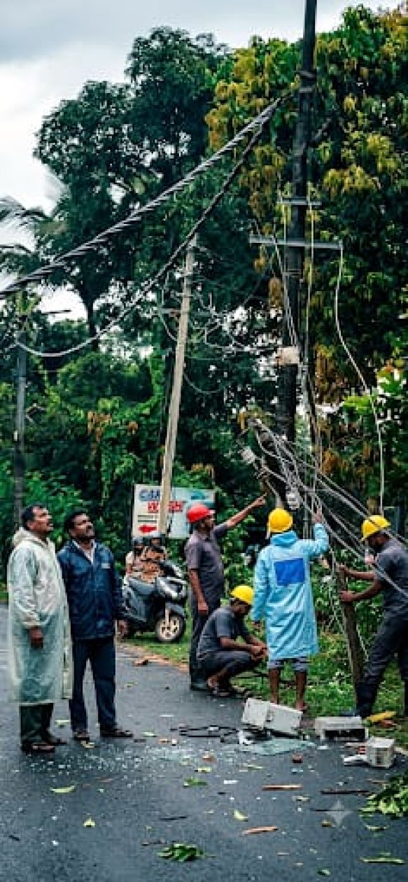 Traffic disrupted as tree falls across main road in Uguem