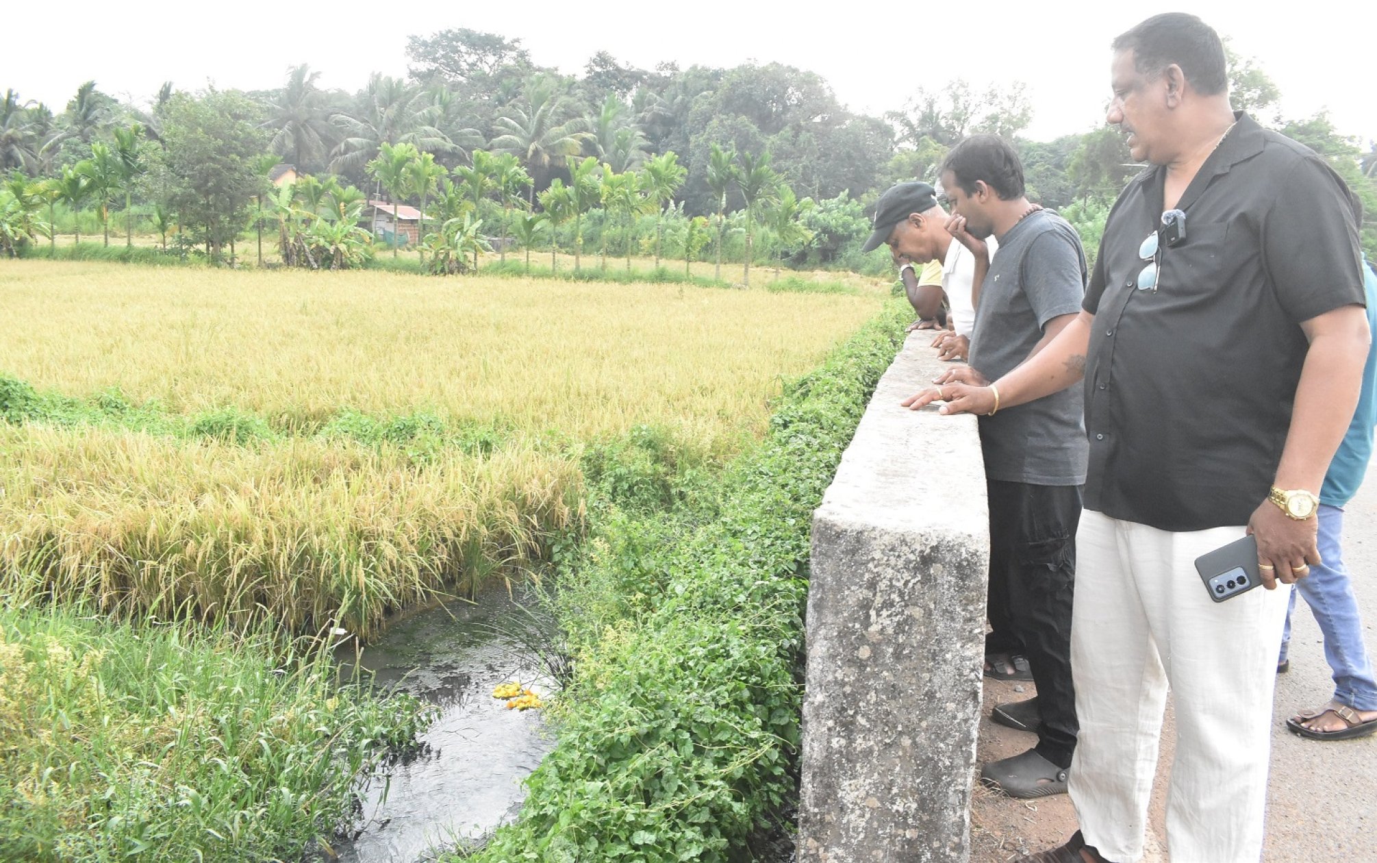 Black wastewater sparks pollution concerns in Areal