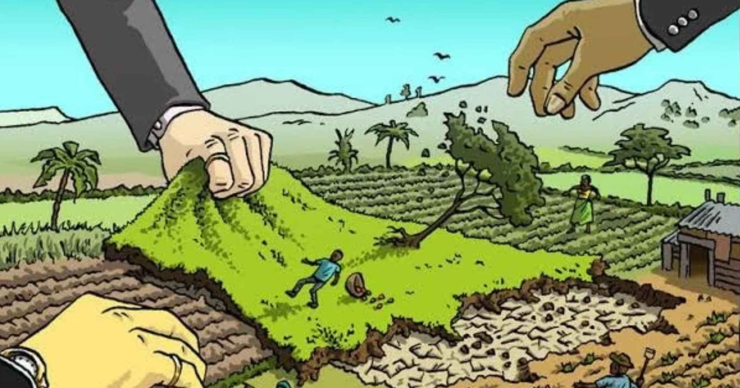 Farmers body pushes for crackdown on land grab, illegal conversion