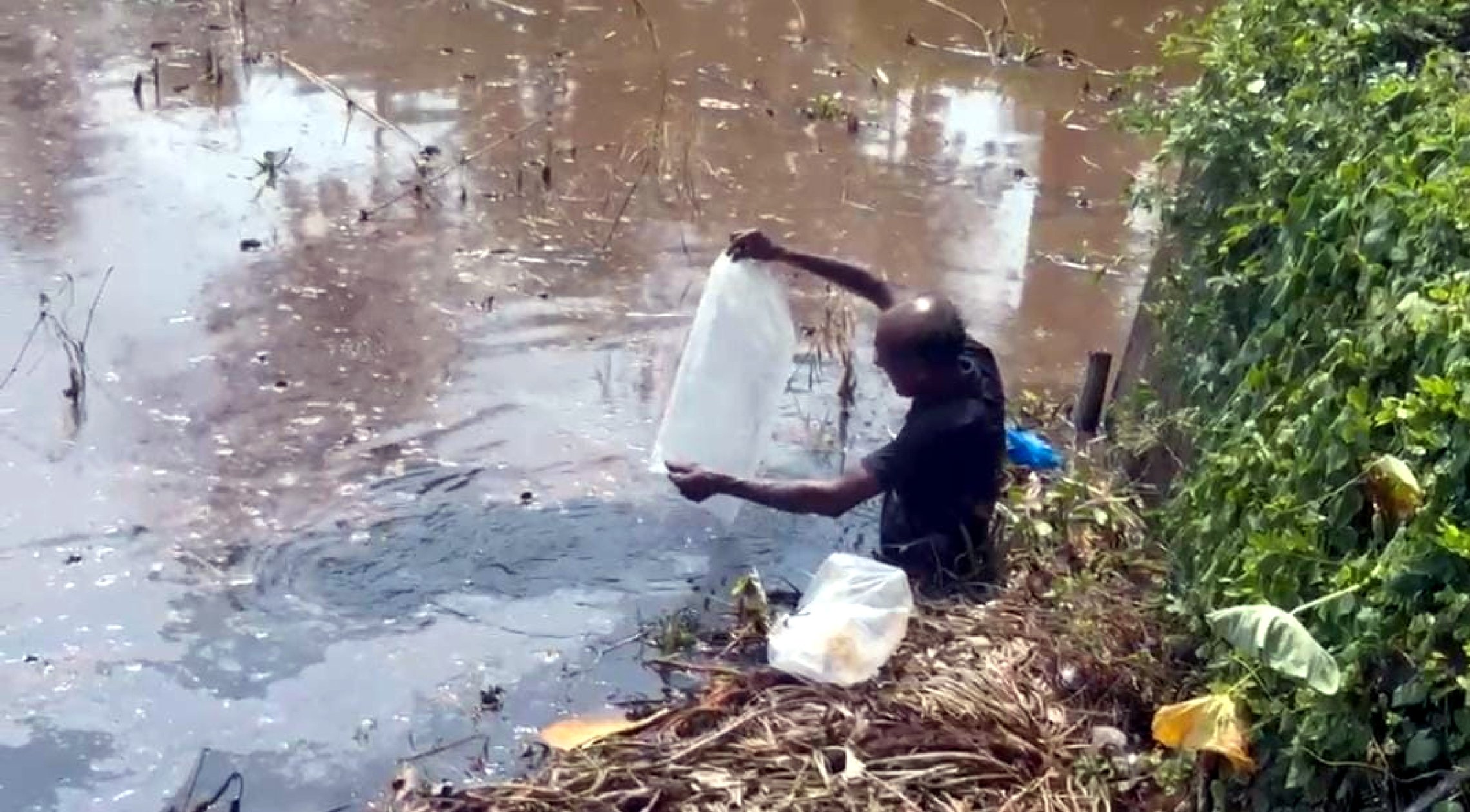 Panch releases over 17,000 fish fingerlings int...