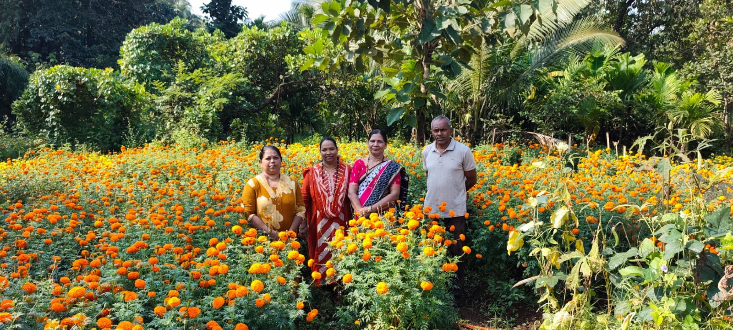 Sateri Kelbai SHG cultivates 30 kgs of marigold
