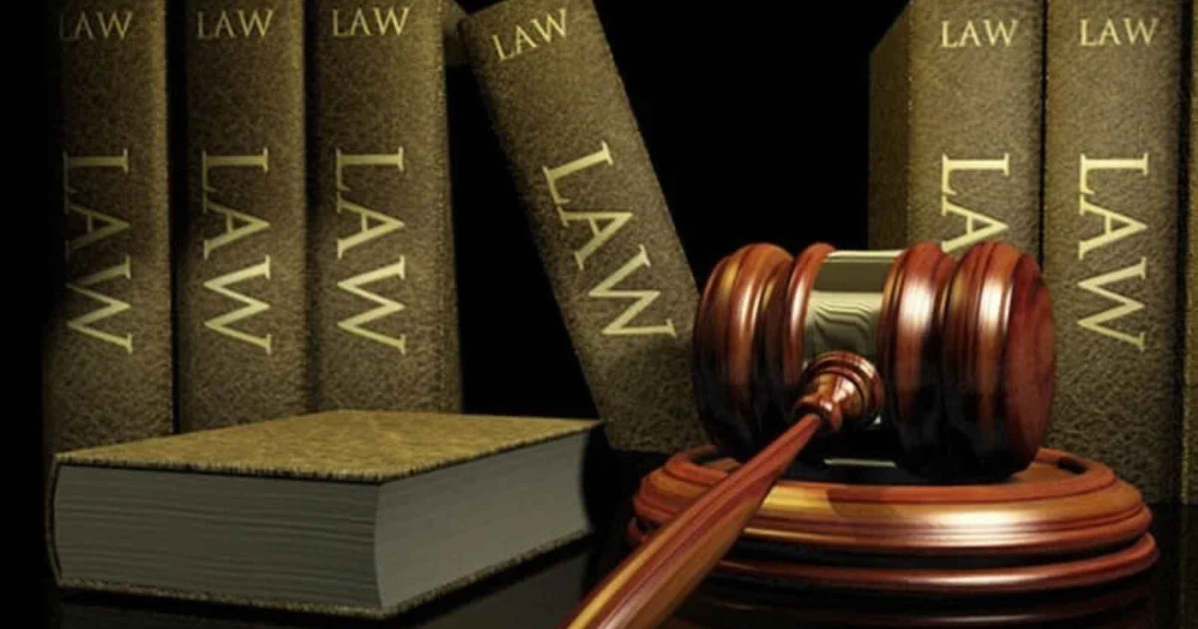 Legal experts deliberate on constitutional challenges