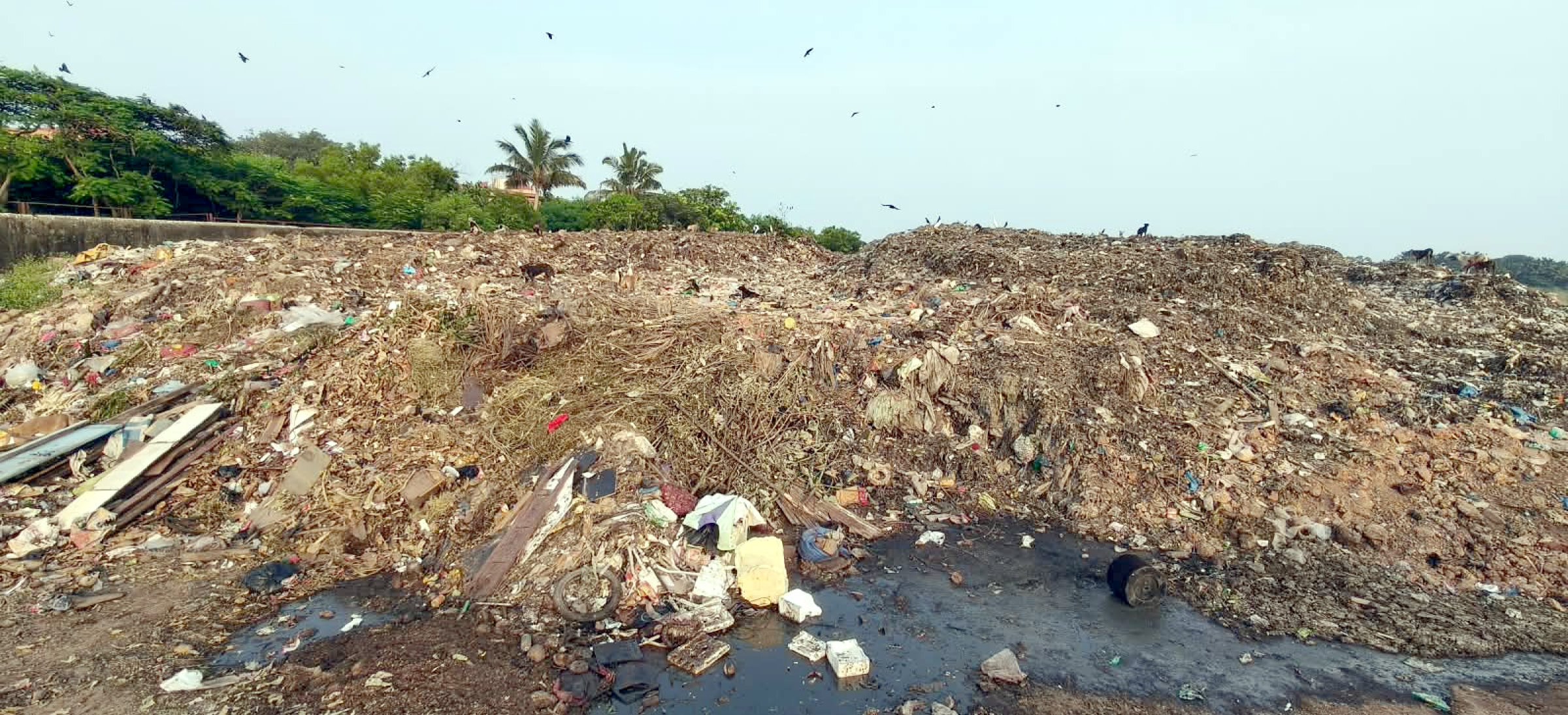 Saligao shutdown puts Mormugao waste management under strain