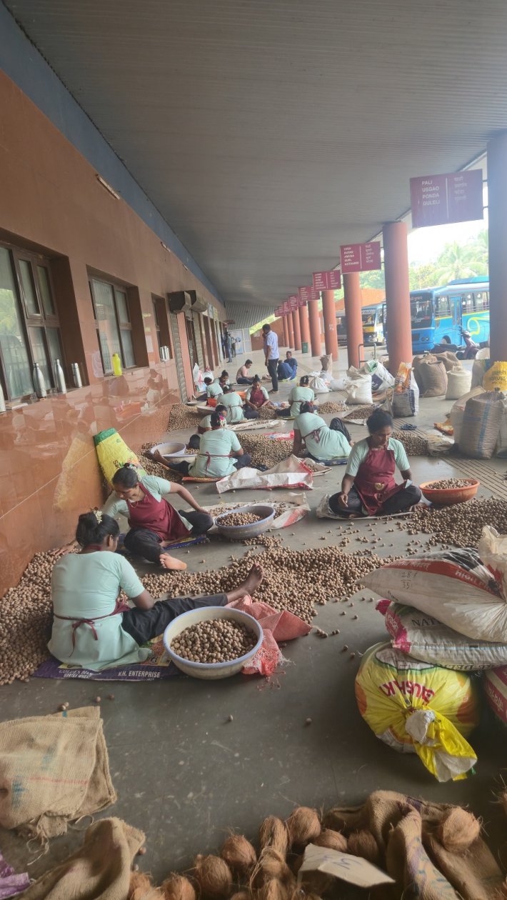 Areca nut growers seek protection amid falling market demand